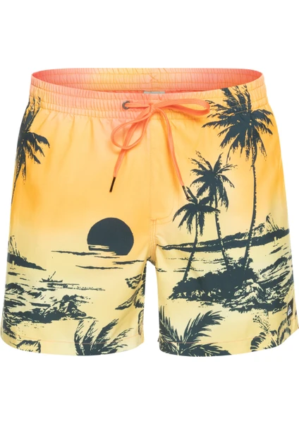 Paradise 15 M Jamv Erkek Volley Short EQYJV03999