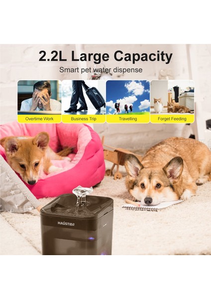 WF004 Akıllı Kedi Köpek Su Sebili Su Şelalesi Su Pınarı, Uv Su Filtrelemeli - Smart Wifi - Tuya App, Ultra Sessiz, Siyah