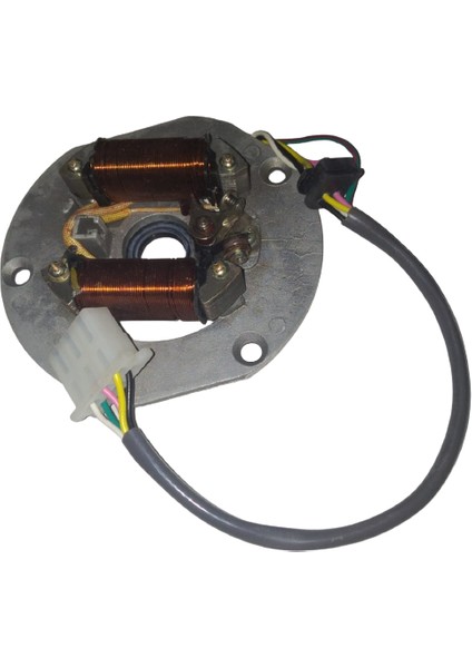 125 Cg Uyumlu Statör ve Tablası Komple 2 Li 5 Kablo