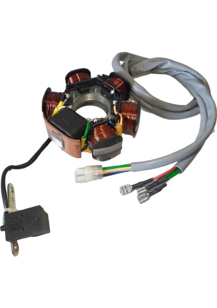 50-80 Statör 6 Lı 34-94-31X3D 8k