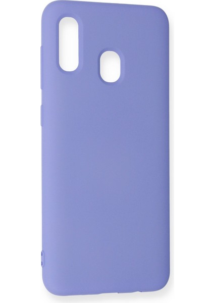 Samsung Galaxy A20 Kılıf Nano Içi Kadife Silikon - Lila modelleri