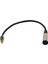 2x 3,5mm 1/8 "stereo Mini Fiş Jack - Xlr Erkek Stereo Kablosu 1ft (Yurt Dışından) 2