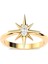 Kutup Yıldızı Tek Taş Altın Kaplama Gümüş Yüzük 2