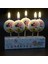Minnie Mouse Bırthday Candle Minnie Mouse Pasta Mumu 5 Adet Minnie Mouse Doğum Günü Mumu 1