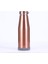 500 ml Taşınabilir Paslanmaz Çelik Termos - Rose Gold (Yurt Dışından) 1