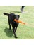 Köpek Oyuncağı Chuckıt! Air Fetch Stick (Büyük Boy) 5