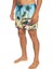 Paradise 15 M Jamv Erkek Volley Short EQYJV03999 4