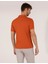 Pierre Cardin Erkek Kahverengi Regular Fit Polo Yaka Merserize Tişört 50262665-VR040 5