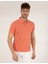 Pierre Cardin Erkek Pembe Slim Fit Polo Yaka Merserize Tişört 50262665-VR204 2