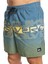 Wordblock 17 Erkek Volley Short EQYJV04005 4