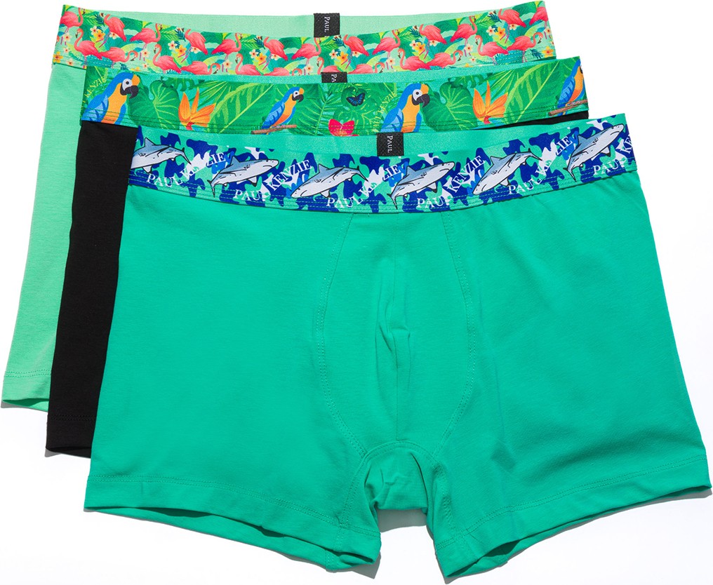 Paul Kenzie Comfort Flex 3'lü Erkek Boxer - Nature görsel 2