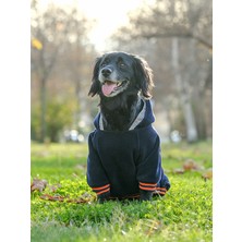 Peti Tailor Büyük Irk Lacivert Polar Sweatshirt Pops