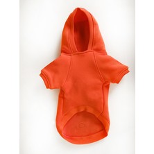 Peti Tailor Küçük ve Orta Irk Turuncu Sweatshirt Marble