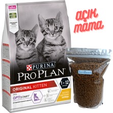 Pro Plan Kitten Tavuklu 1 kg Yavru Kuru Kedi Maması