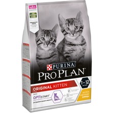 Pro Plan Kitten Tavuklu 1 kg Yavru Kuru Kedi Maması