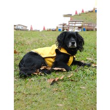 Peti Tailor Küçük ve Orta Irk Sarı Yelek Softshell