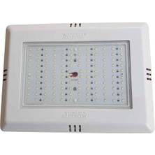 Nozbart Altın Oran LED Havuz Lambası-Sıva Üstü Beyaz Çerçeve Rgb LED