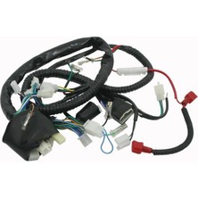 Mondial 125 Mx Elektrik Tesisatı Orj