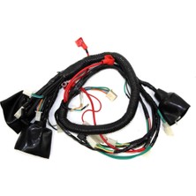 Mondial Sfs 100-125 Elektrik Tesisatı Orj