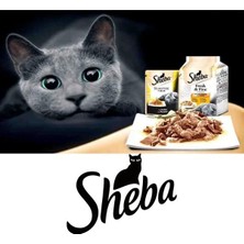 Sheba Fresh & Fine Somonlu ve Tavuklu Yaş Kedi Maması 6X50G 6 Adet 50 gr Poşet Sheba Yaş Kedi Maması