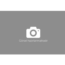 Honda Activa Uyumlu Piston Skk Tw 50 mm (Std+1,00) Tk