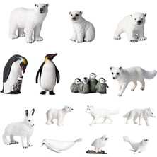 Fenteer Polar Hayvan Modeli Kutup Ayısı Kindergarten 14 Adet Için Hayat Benzeri Hayvan Modeli Ekranı (Yurt Dışından)