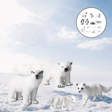 Fenteer Polar Hayvan Modeli Kutup Ayısı Kindergarten 14 Adet Için Hayat Benzeri Hayvan Modeli Ekranı (Yurt Dışından)