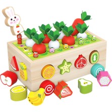 Fenteer Ahşap Sıralama Eşleştirme Bloğu Jigsaw Dıy Toddler Farm Orchard Istihbarat Kutusu Için (Yurt Dışından)