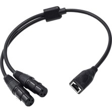 Binduo Çift Xlr 3pin Dişi - RJ45 Adaptör Kablosu, RJ45 Ila Çift Xlr Dişi Kablosu (Yurt Dışından)