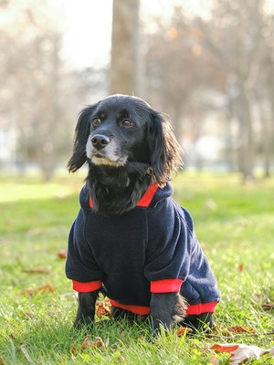 Peti Tailor Büyük Irk Lacivert-Kırmızı Polar Sweatshirt Pops