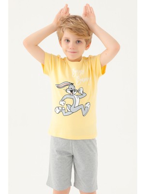 Looney Tunes Erkek Çocuk T-Shırt Puding