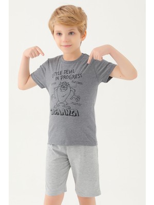 Looney Tunes Erkek Çocuk T-Shırt Antra Melanj