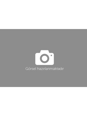 Scooter Arka Varyatör Kasnak Bilyalı