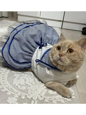 Gobo Denizci Mavi Kurdeleli Dişi Kedi Köpek Kıyafeti Elbisesi