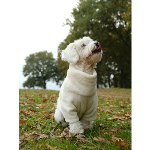 Peti Tailor Küçük ve Orta Irk Beyaz Polar Sweatshirt Wellsoft