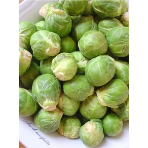 Çermik Fidancılık Brüksel Lahana Tohumu 10 gr