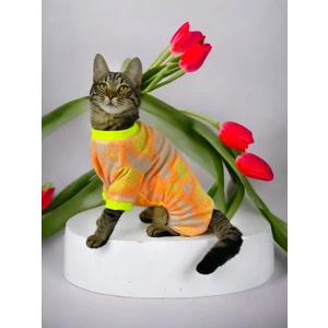 Tesla Penye Tulum Duo Kedi Tulumu Kedi Elbisesi