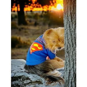 Superman Köpek Tişört Köpek Kıyafeti