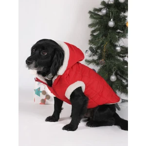 Peti Tailor Büyük Irk Kırmızı Kapüşonlu Mont Mıcro