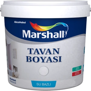 Tavan Boyası
