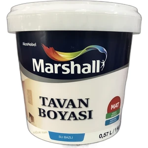 Tavan Boyası