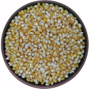 Yedi Değirmen Patlatmalık Mısır 1 kg