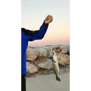 Tiny Popper Mini Lrf Popper FT03 - Trans Iwashı