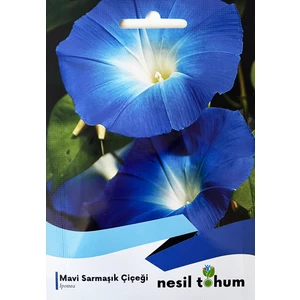 Sarmaşık Mavi Iri Tohumu Yerli Ipomoea 30 Adet
