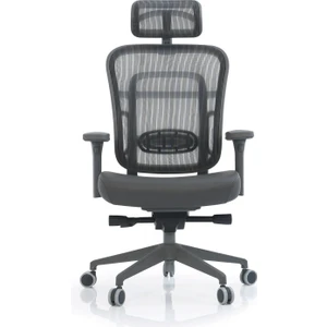 Passion Çalışma | Oyuncu | Ofis | Yönetici | Makam Koltuğu | Deri