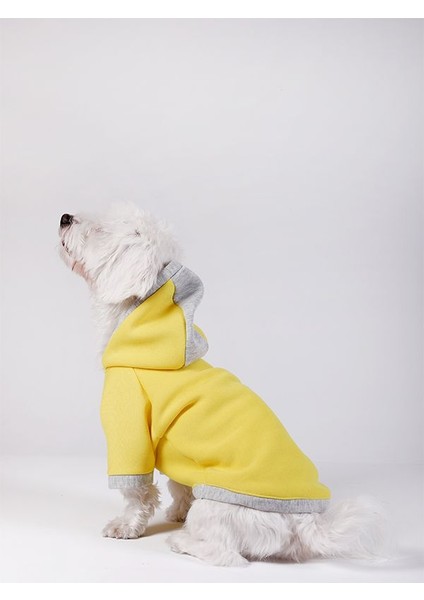 Büyük Irk Sarı Sweatshirt Marble