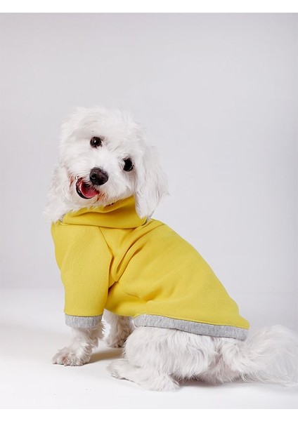 Büyük Irk Sarı Sweatshirt Marble