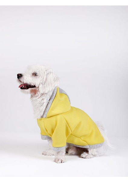 Büyük Irk Sarı Sweatshirt Marble fiyatları