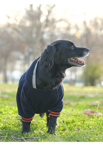 Küçük ve Orta Irk Lacivert Polar Sweatshirt Pops