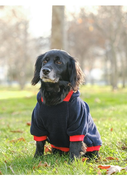 Büyük Irk Lacivert-Kırmızı Polar Sweatshirt Pops